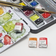 Winsor & Newton Professional Watercolour Half Pans